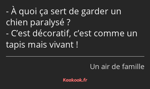 À quoi ça sert de garder un chien paralysé ? C’est décoratif, c’est comme un tapis mais vivant !