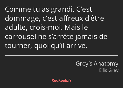 Comme tu as grandi. C’est dommage, c’est affreux d’être adulte, crois-moi. Mais le carrousel ne…