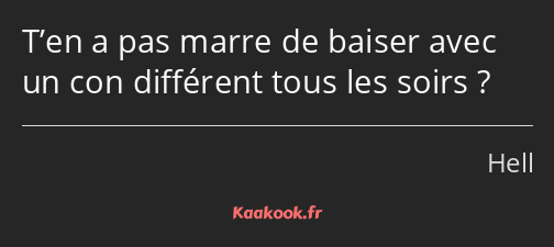 T’en a pas marre de baiser avec un con différent tous les soirs ?