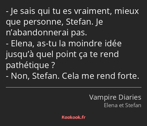 Je sais qui tu es vraiment, mieux que personne, Stefan. Je n’abandonnerai pas. Elena, as-tu la…