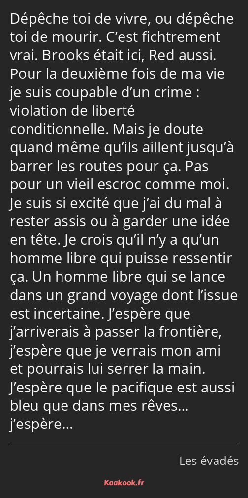 Depeche Toi De Vivre Ou Depeche Toi De Mourir Citation « Dépêche toi de vivre, ou dépêche toi de mourir… » - Kaakook