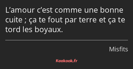 L’amour c’est comme une bonne cuite ; ça te fout par terre et ça te tord les boyaux.