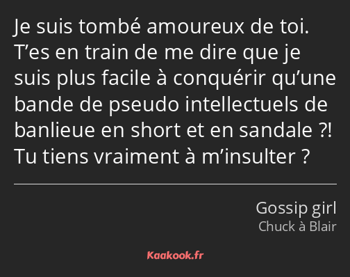 Je suis tombé amoureux de toi. T’es en train de me dire que je suis plus facile à conquérir qu’une…