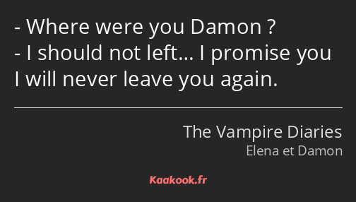 Where were you Damon ? I should not left… I promise you I will never leave you again.