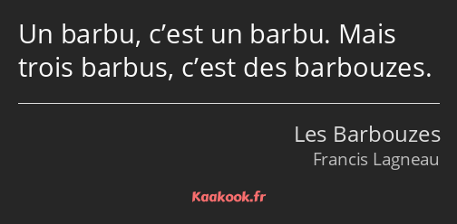 Un barbu, c’est un barbu. Mais trois barbus, c’est des barbouzes.