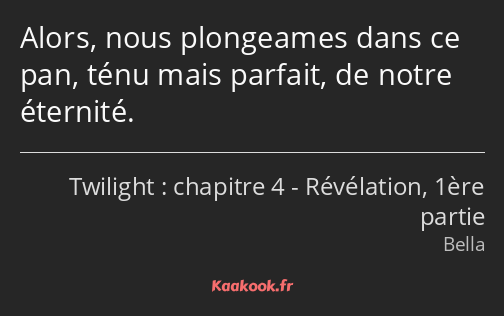 Alors, nous plongeames dans ce pan, ténu mais parfait, de notre éternité.