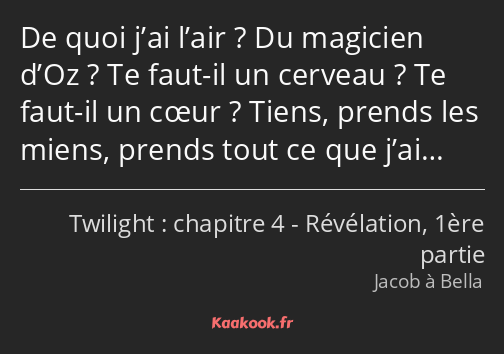 De quoi j’ai l’air ? Du magicien d’Oz ? Te faut-il un cerveau ? Te faut-il un cœur ? Tiens, prends…