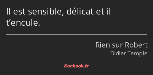 Il est sensible, délicat et il t’encule.