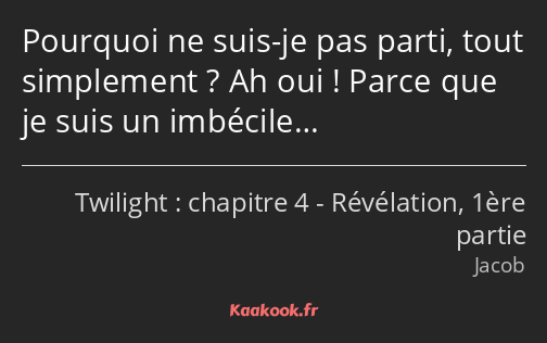 Pourquoi ne suis-je pas parti, tout simplement ? Ah oui ! Parce que je suis un imbécile…