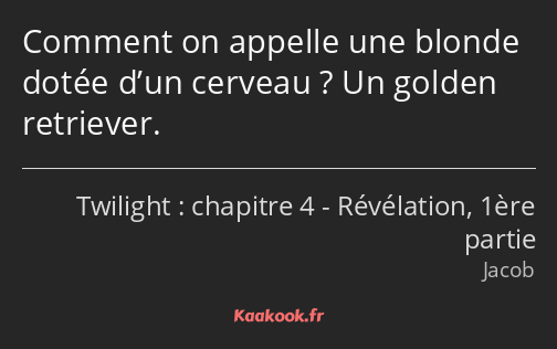 Comment on appelle une blonde dotée d’un cerveau ? Un golden retriever.