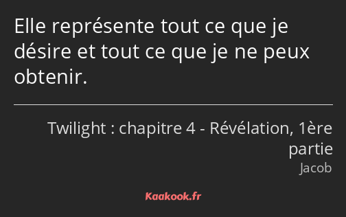 Elle représente tout ce que je désire et tout ce que je ne peux obtenir.