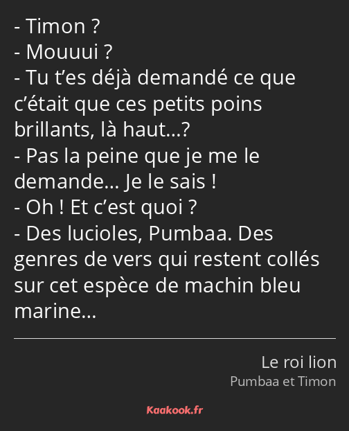 Timon ? Mouuui ? Tu t’es déjà demandé ce que c’était que ces petits poins brillants, là haut…? Pas…