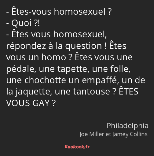 Êtes-vous homosexuel ? Quoi ?! Êtes vous homosexuel, répondez à la question ! Êtes vous un homo…