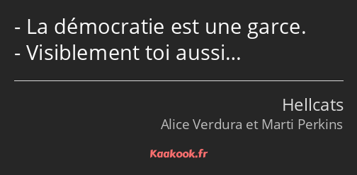 La démocratie est une garce. Visiblement toi aussi…