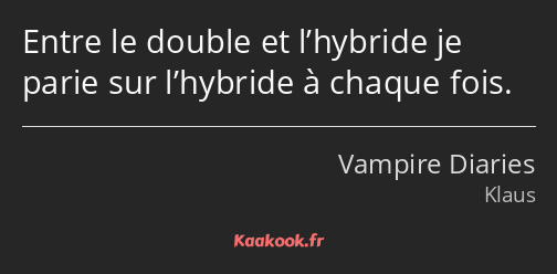 Entre le double et l’hybride je parie sur l’hybride à chaque fois.