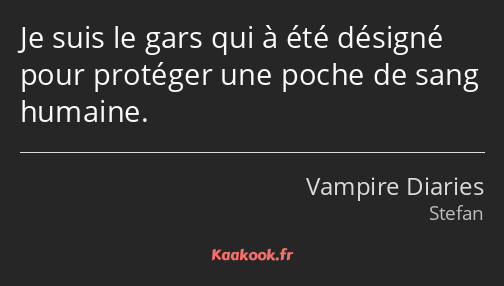 Je suis le gars qui à été désigné pour protéger une poche de sang humaine.