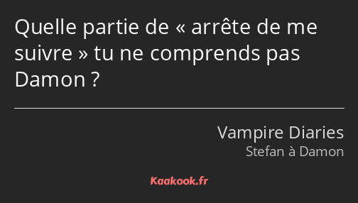 Quelle partie de arrête de me suivre tu ne comprends pas Damon ?