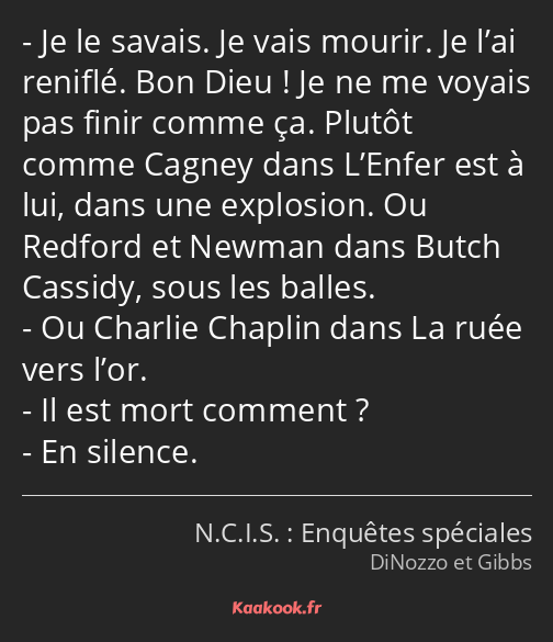 Je le savais. Je vais mourir. Je l’ai reniflé. Bon Dieu ! Je ne me voyais pas finir comme ça…