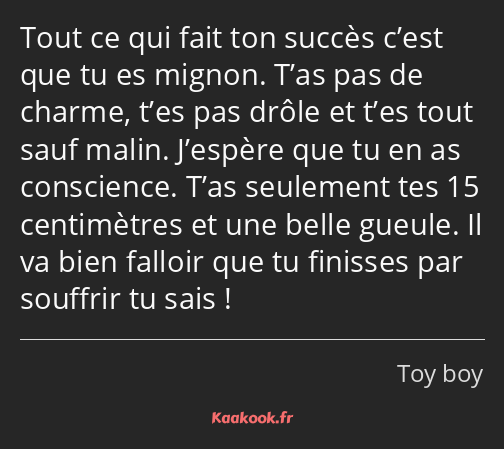 Tout ce qui fait ton succès c’est que tu es mignon. T’as pas de charme, t’es pas drôle et t’es tout…