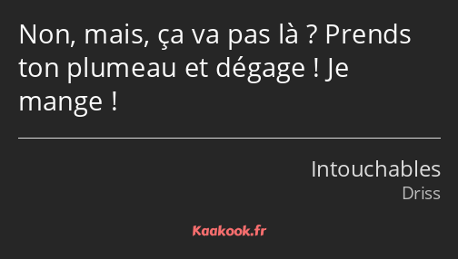 Non, mais, ça va pas là ? Prends ton plumeau et dégage ! Je mange !