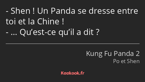 Shen ! Un Panda se dresse entre toi et la Chine ! … Qu’est-ce qu’il a dit ?