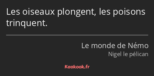 Les oiseaux plongent, les poisons trinquent.