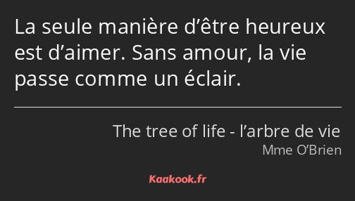 La seule manière d’être heureux est d’aimer. Sans amour, la vie passe comme un éclair.