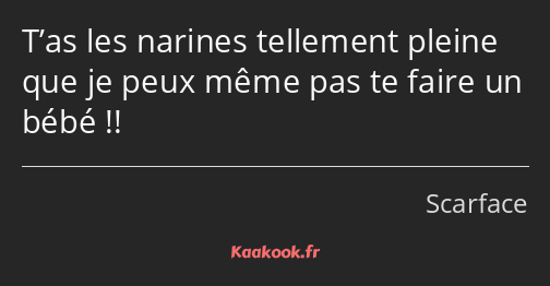 T’as les narines tellement pleine que je peux même pas te faire un bébé !!