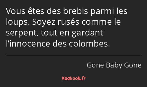 Vous êtes des brebis parmi les loups. Soyez rusés comme le serpent, tout en gardant l’innocence des…