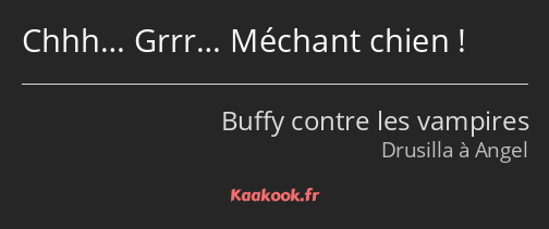 Chhh… Grrr… Méchant chien !