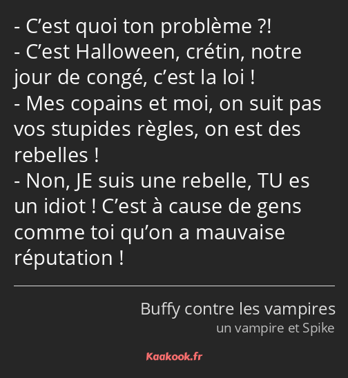 C’est quoi ton problème ?! C’est Halloween, crétin, notre jour de congé, c’est la loi ! Mes copains…