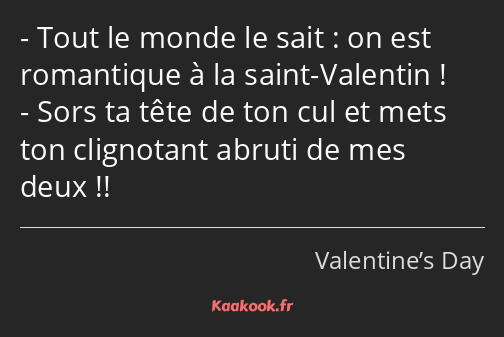 Tout le monde le sait : on est romantique à la saint-Valentin ! Sors ta tête de ton cul et mets ton…