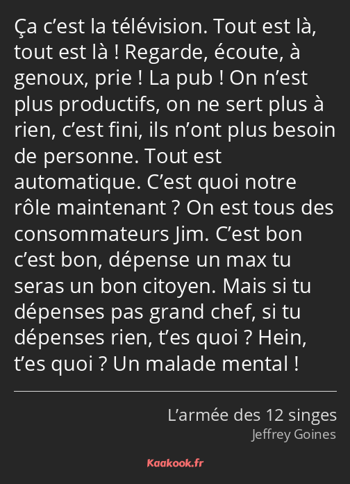 Ça c’est la télévision. Tout est là, tout est là ! Regarde, écoute, à genoux, prie ! La pub ! On…