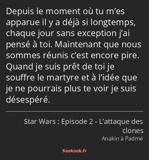 Depuis le moment où tu m’es apparue il y a déjà si longtemps, chaque jour sans exception j’ai pensé…