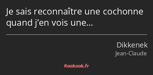 Je sais reconnaître une cochonne quand j’en vois une…