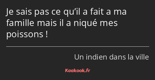 Je sais pas ce qu’il a fait a ma famille mais il a niqué mes poissons !