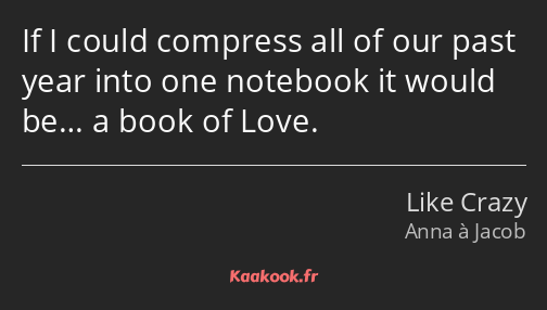 If I could compress all of our past year into one notebook it would be… a book of Love.
