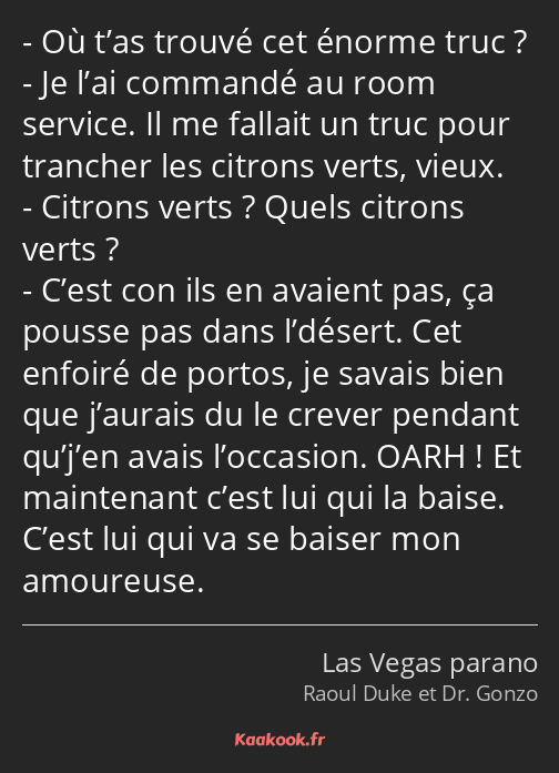 Où t’as trouvé cet énorme truc ? Je l’ai commandé au room service. Il me fallait un truc pour…