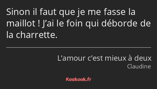 Sinon il faut que je me fasse la maillot ! J’ai le foin qui déborde de la charrette.