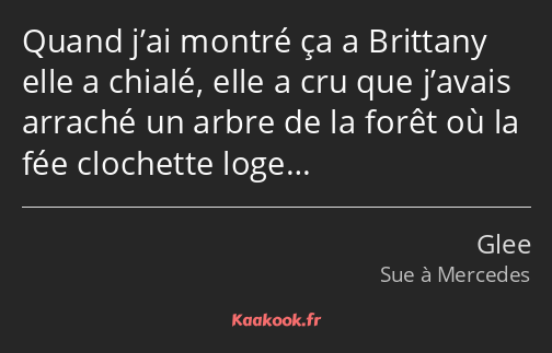 Quand j’ai montré ça a Brittany elle a chialé, elle a cru que j’avais arraché un arbre de la forêt…