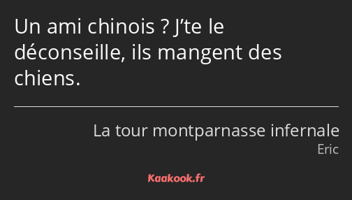 Un ami chinois ? J’te le déconseille, ils mangent des chiens.