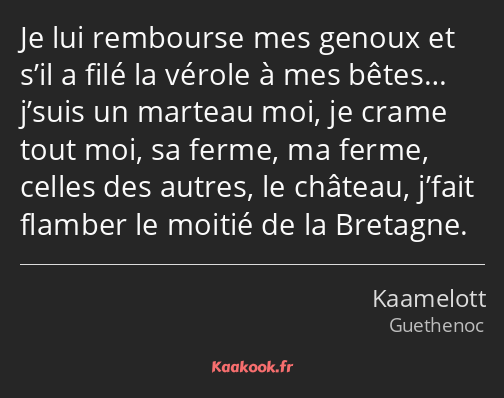 Je lui rembourse mes genoux et s’il a filé la vérole à mes bêtes… j’suis un marteau moi, je crame…