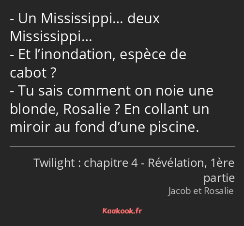 Un Mississippi… deux Mississippi… Et l’inondation, espèce de cabot ? Tu sais comment on noie une…