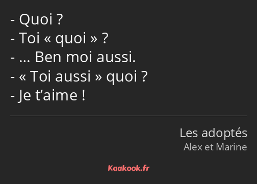 Quoi ? Toi quoi ? … Ben moi aussi. Toi aussi quoi ? Je t’aime !