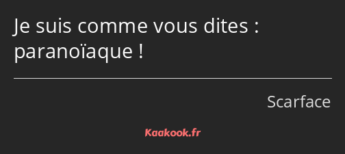 Je suis comme vous dites : paranoïaque !