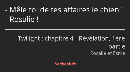 Mêle toi de tes affaires le chien ! Rosalie !