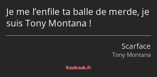 Je me l’enfile ta balle de merde, je suis Tony Montana !