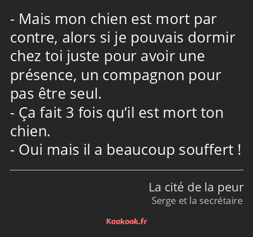 Mais mon chien est mort par contre, alors si je pouvais dormir chez toi juste pour avoir une…