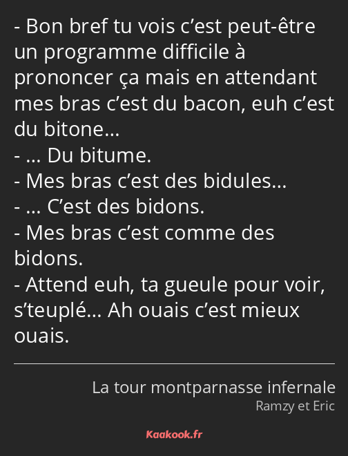 Bon bref tu vois c’est peut-être un programme difficile à prononcer ça mais en attendant mes bras…