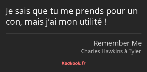 Je sais que tu me prends pour un con, mais j’ai mon utilité !